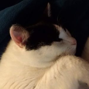 Meet your Posher, Bernadette